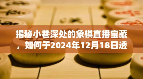 揭秘象棋直播宝藏，智慧与技巧的财富之路，探寻小巷深处的机遇与挑战——2024年象棋直播指南