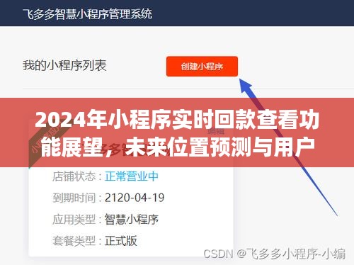 2024年小程序实时回款查看功能展望，未来位置预测与用户体验深度探讨