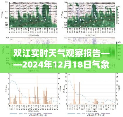 双江实时天气观察报告，气象分析与观察结果（XXXX年XX月XX日）