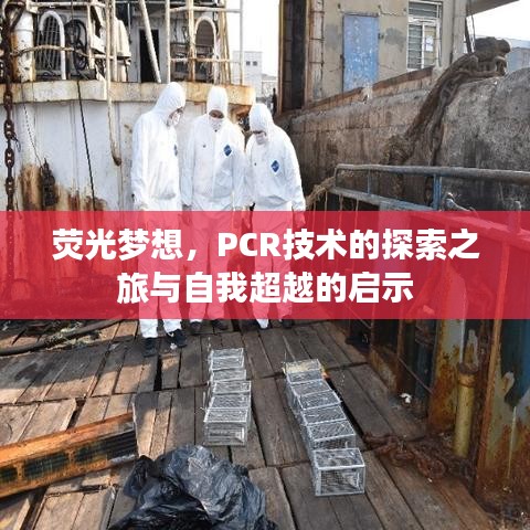 荧光梦想引领下的PCR技术探索之旅与自我超越启示