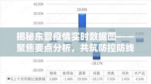 东营疫情实时数据图深度解析，聚焦防控要点，共筑防线