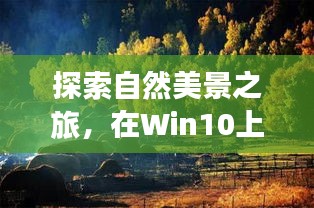 Win10自然探索之旅，网速与心灵宁静的奇妙交融