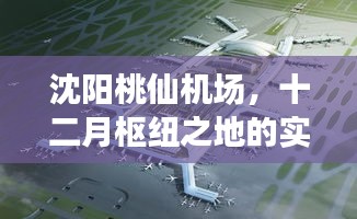 沈阳桃仙机场十二月枢纽实时动态概览