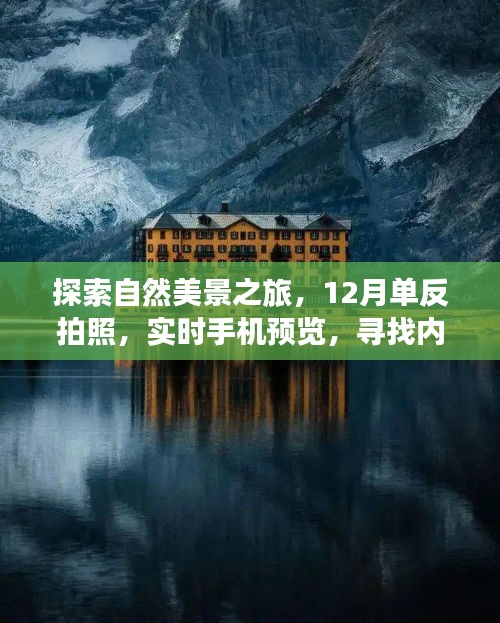 探索自然美景之旅，12月单反拍照与手机实时预览，寻找内心的宁静与平和