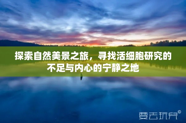 自然探索之旅，寻找生命科学的缺口与内心宁静的栖息地