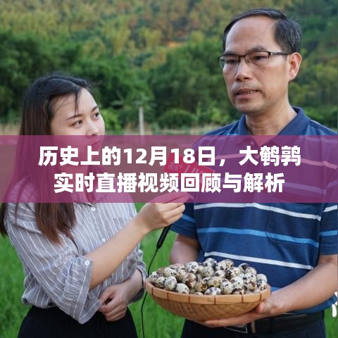 大鹌鹑直播视频回顾与解析，历史上的十二月十八日回顾