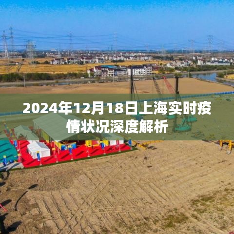 2024年12月18日上海疫情实时状况深度剖析