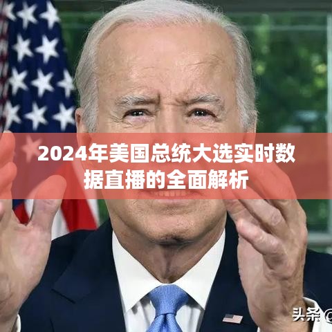 2024年美国总统大选实时数据直播全面解析及最新动态速递