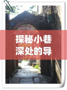 导电PP塑料宝藏探秘，小巷深处的实时报价之旅