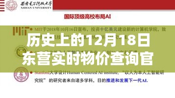 历史上的12月18日，东营实时物价查询官网全面评测与深度介绍