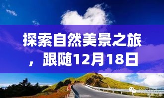 跟随热力图的自然探索之旅，寻找内心平静的启程点