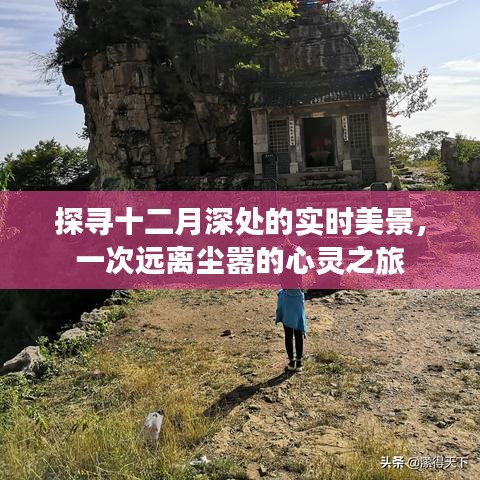 探寻十二月深处的秘境之旅，心灵与自然的美妙交响