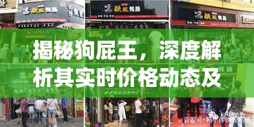 深度解析狗屁王实时价格动态与市场趋势揭秘