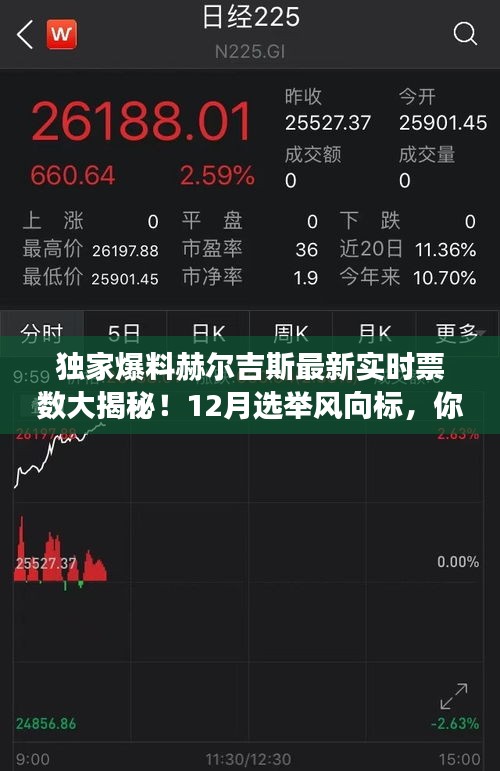 赫尔吉斯最新实时票数独家曝光，12月选举风向标引领投票大潮！