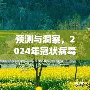 预测与洞察，解读2024年冠状病毒实时数据分布图与观点碰撞