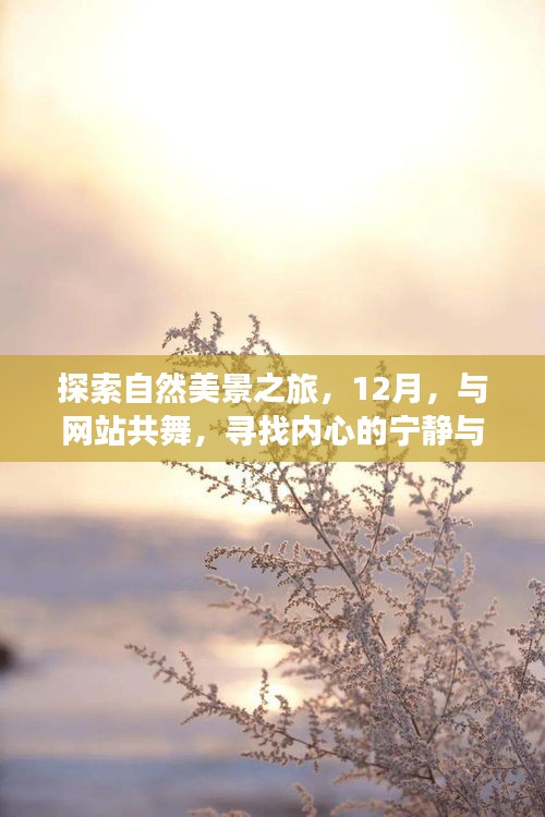 探索自然美景之旅，与网站共舞，寻找内心的宁静与平和（十二月特别活动）