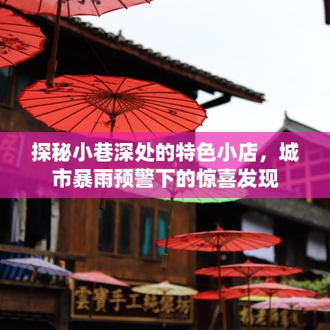 城市暴雨中的惊喜发现，小巷深处的特色小店探秘