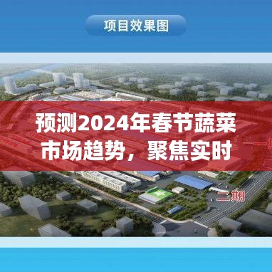 2024年春节蔬菜市场趋势预测，实时供应聚焦分析