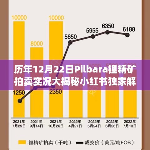 2024年12月22日 第2页