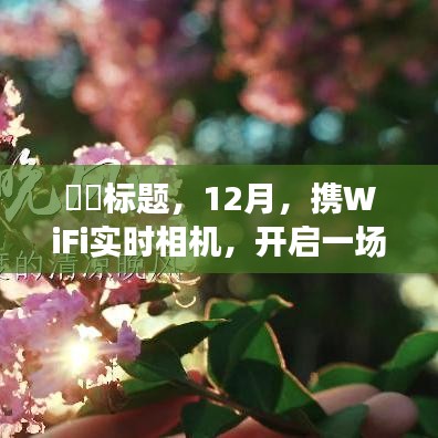 12月，携WiFi实时相机，开启心灵与自然的美妙之旅