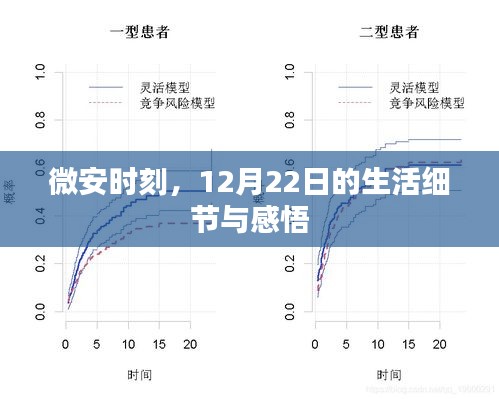 微安时刻，12月22日的生活印记与心灵感悟