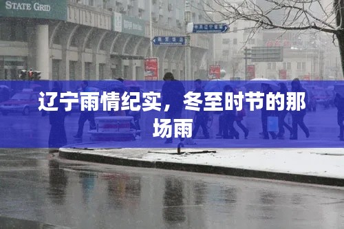 辽宁冬至时节雨情实录