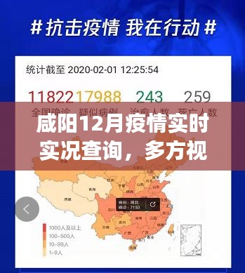 咸阳12月疫情实时实况查询，多方视角的观察与解读