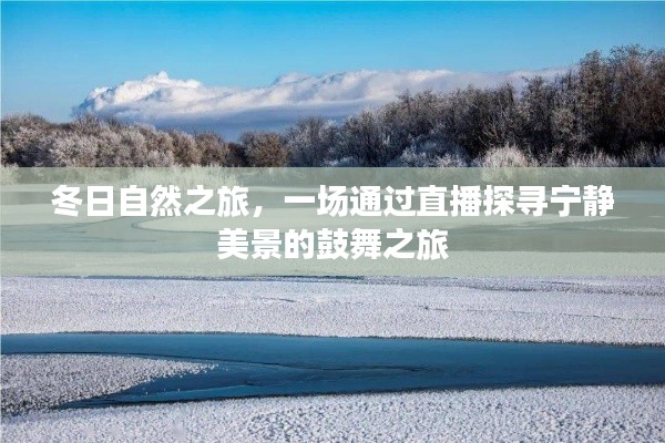 冬日自然直播探寻之旅，鼓舞心灵的美景探寻之旅