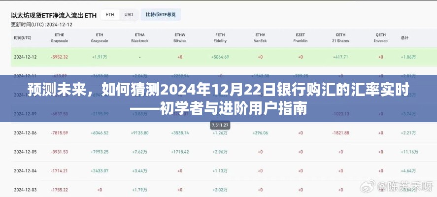 初学者与进阶用户指南，预测与猜测银行购汇汇率实时动态——2024年银行购汇汇率预测实战指南