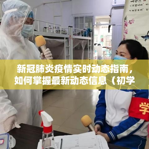 新冠肺炎疫情实时动态指南，掌握最新动态信息，适用于初学者与进阶用户