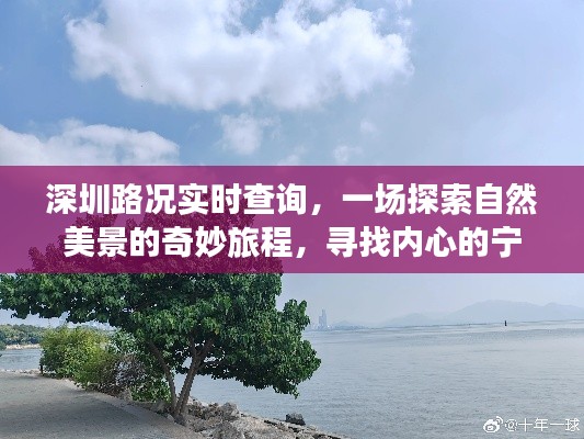 深圳路况实时查询，探索自然美景，寻找内心宁静之旅