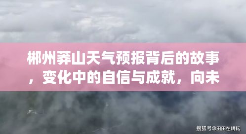 郴州莽山天气预报背后的故事，自信成就与未来励志之旅