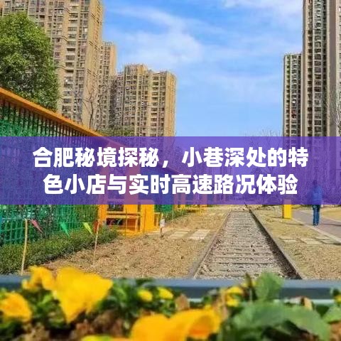 合肥小巷秘境与路况体验，特色小店与实时高速探秘之旅