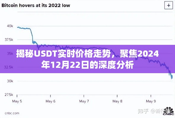 深度解析，揭秘USDT未来价格走势预测——聚焦至2024年12月22日实时动态分析