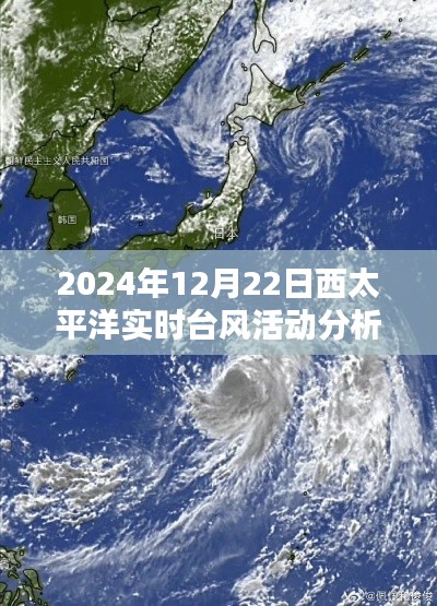 西太平洋实时台风活动分析，2024年12月22日报告