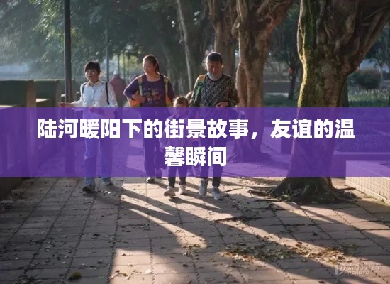 陆河暖阳下的街景与友谊的温馨瞬间