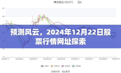 探索预测风云，2024年12月22日股票行情网址解析