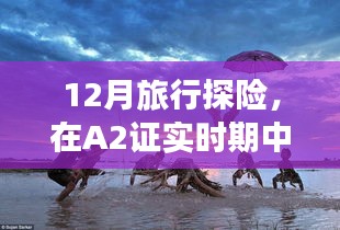 A2证实时期的心灵之旅，12月探险找回内心的宁静与平和