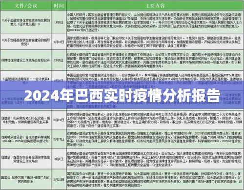 2024年巴西实时疫情动态分析报告