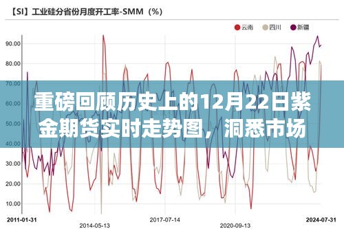 揭秘历史12月22日紫金期货走势图，洞悉市场风云，洞悉未来趋势！