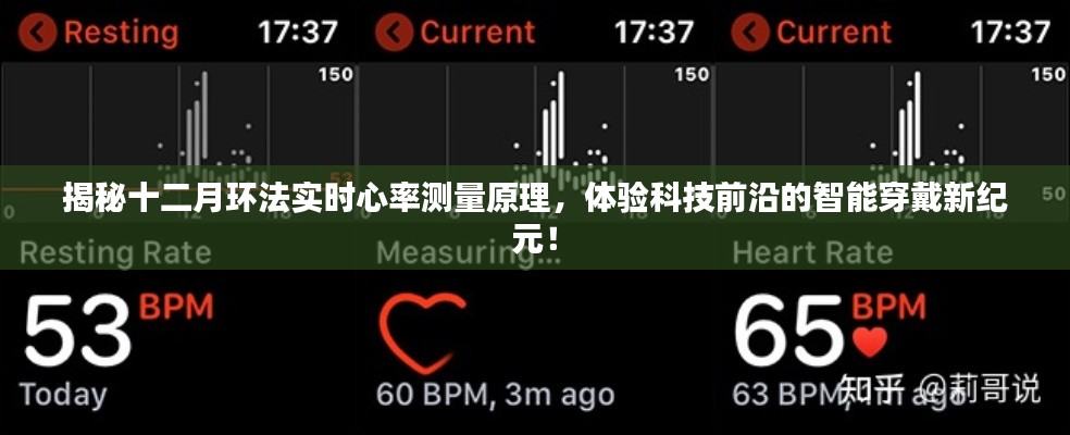 揭秘环法自行车赛实时心率测量技术，智能穿戴引领科技新纪元！