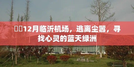 临沂机场，逃离喧嚣，心灵蓝天绿洲的探寻之旅