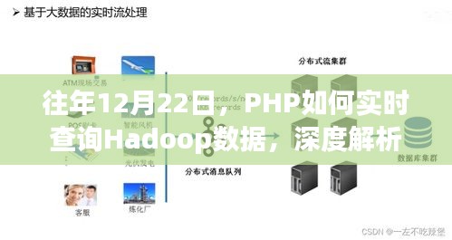 PHP实时查询Hadoop数据深度解析与案例分析，历年案例分析及案例分析总结