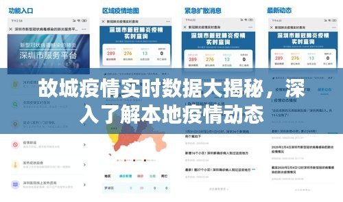 故城疫情实时数据深度解析，本地疫情动态一览