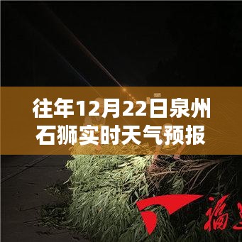 泉州石狮天气预报查询指南，实时天气预报查询步骤详解（适合初学者与进阶用户）