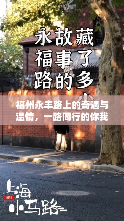 福州永丰路上的奇遇与温情，一路同行的温暖故事