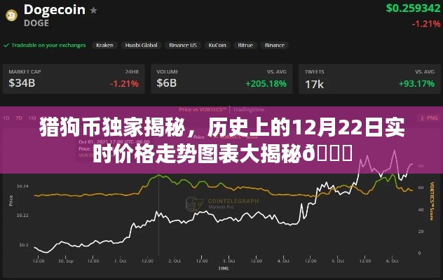 猎狗币独家揭秘，历史价格走势图表与实时动态分析📈