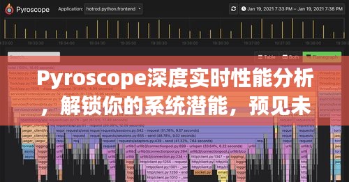 Pyroscope深度实时性能分析，解锁系统潜能，预见未来潜能