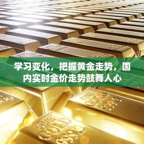 学习变化，把握黄金走势，国内实时金价走势振奋人心