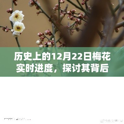 12月22日梅花文化意义与个人观点探讨，历史实时进度下的深度解析